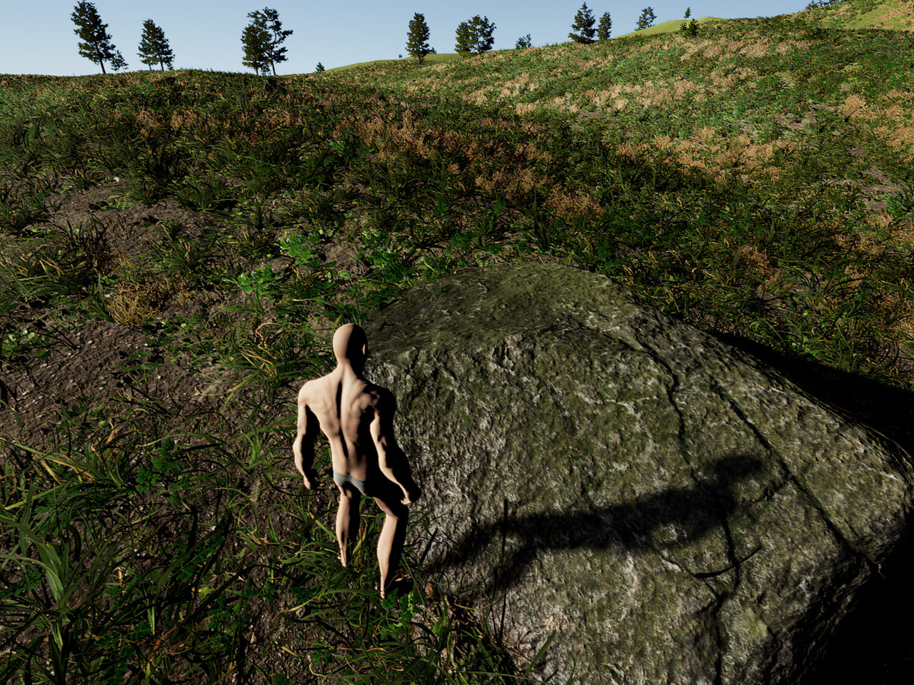 Survival Ascension #2