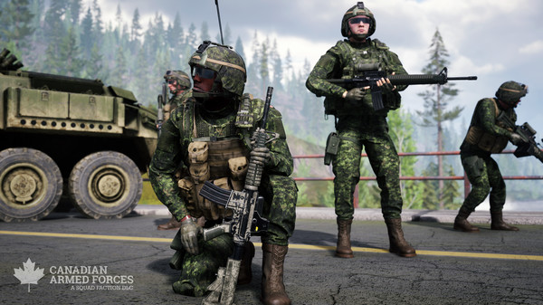 Canadian Armed Forces for steam