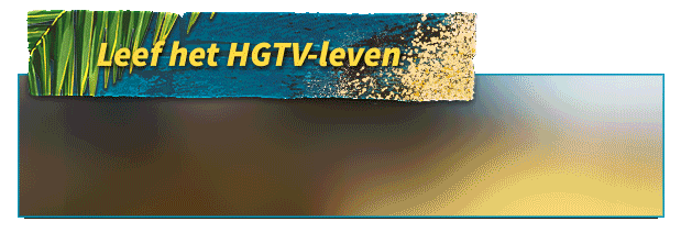 House Flipper - HGTV thumbnail