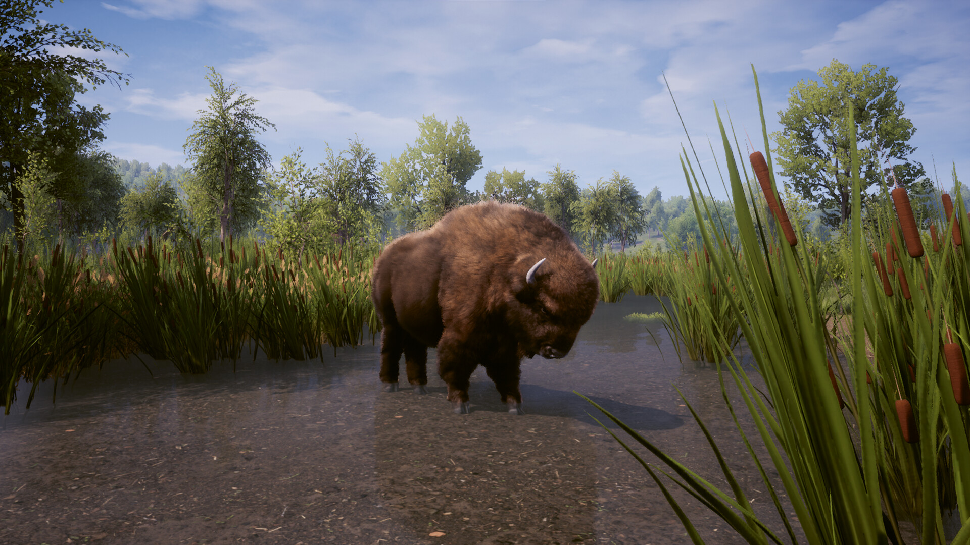 Medieval Dynasty #15