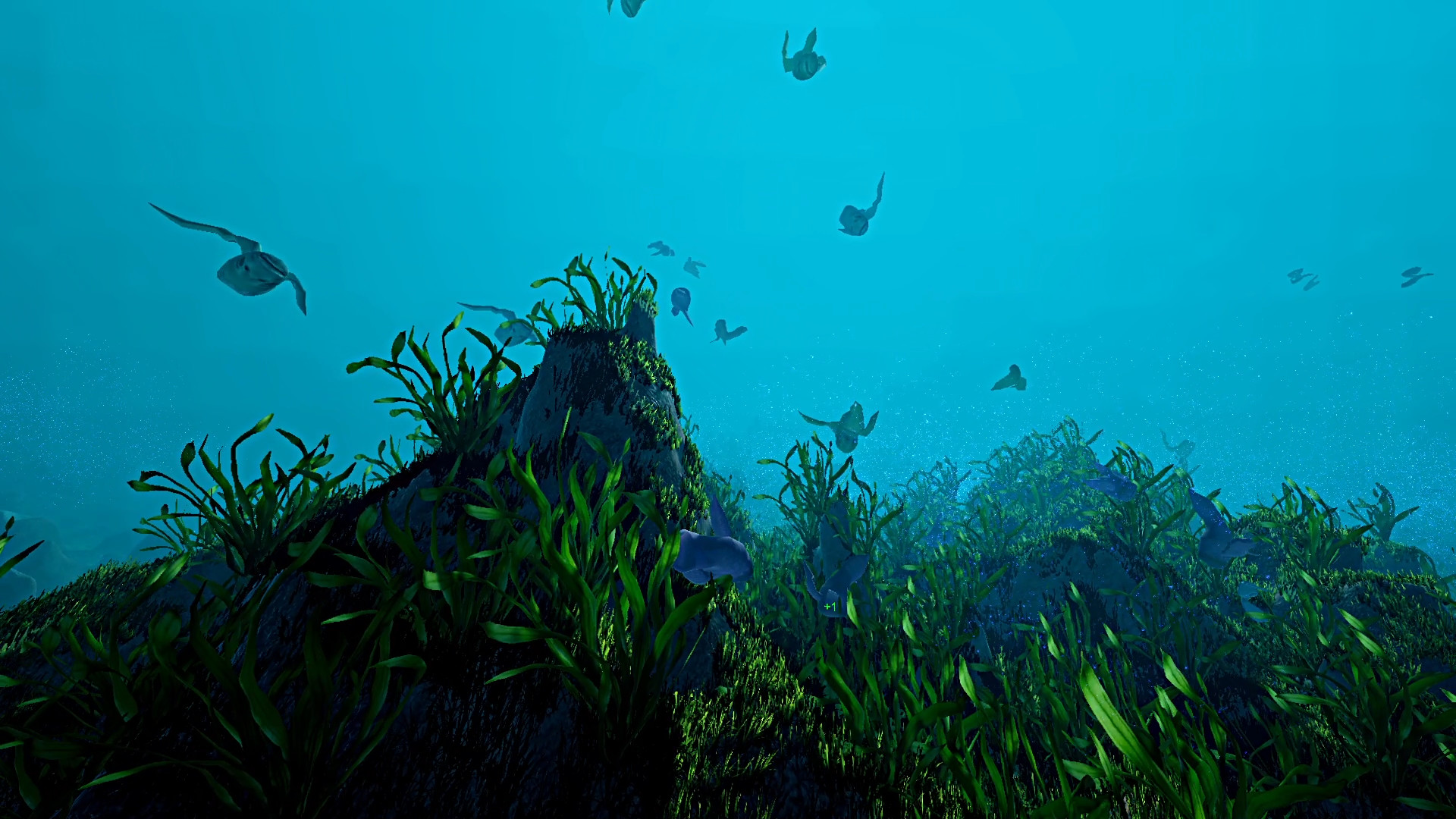 Ecosystem screenshot