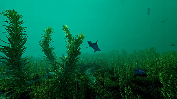 Screenshot of Ecosystem