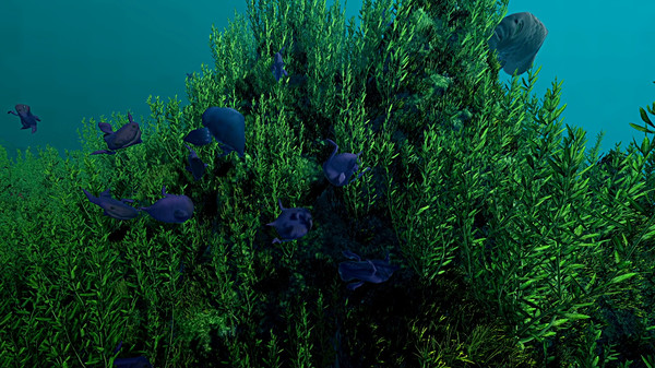 Screenshot of Ecosystem