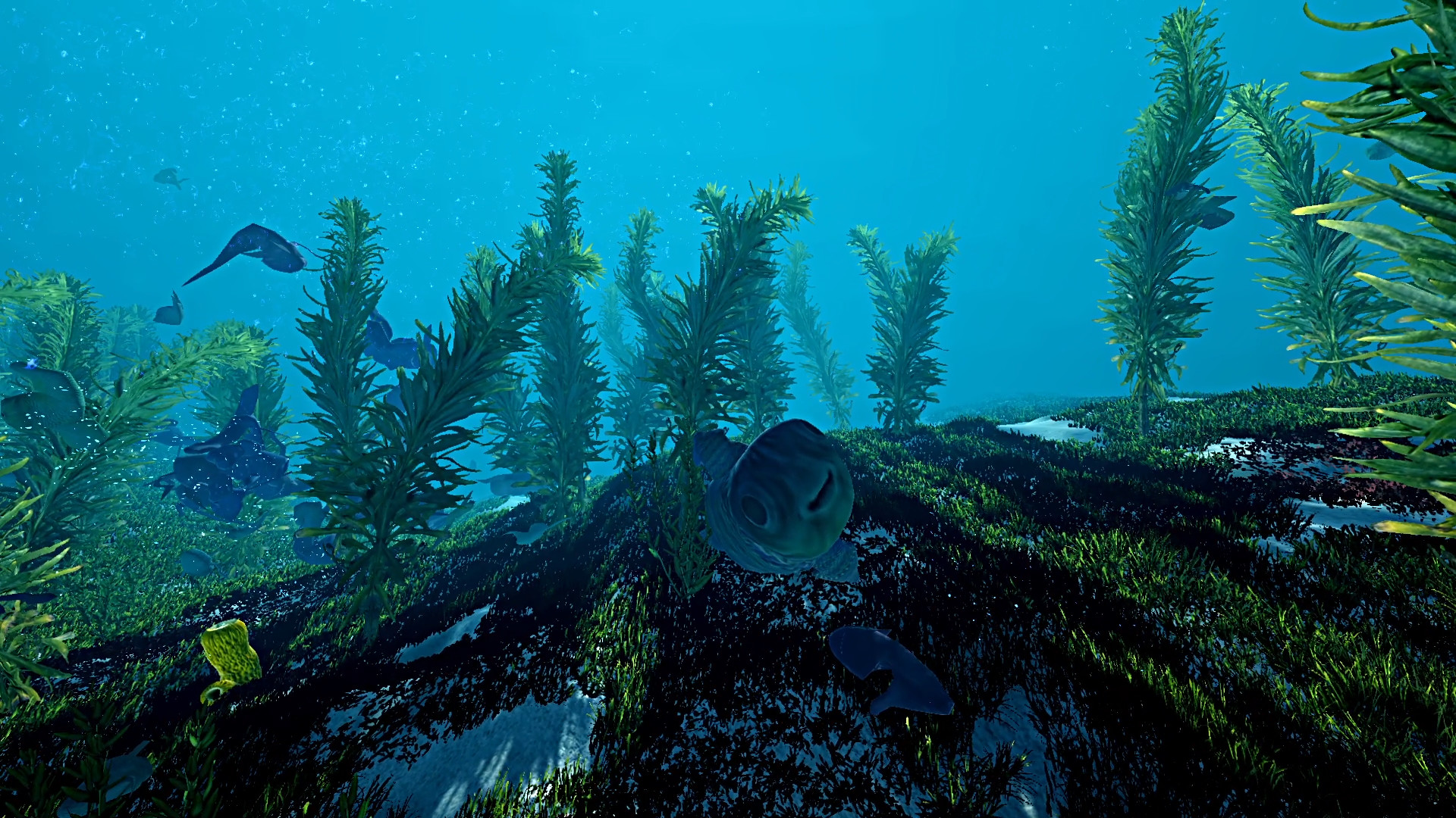 Ecosystem screenshot