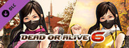 DOA6 Morphing Ninja Costume - Kokoro