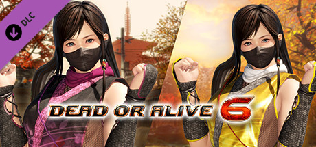 DOA6 Morphing Ninja Costume - Kokoro