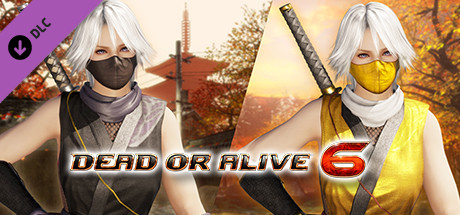 DOA6 Morphing Ninja Costume - Christie