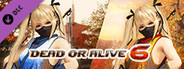 DOA6 Morphing Ninja Costume - Marie Rose