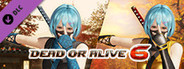 DOA6 Morphing Ninja Costume - NiCO
