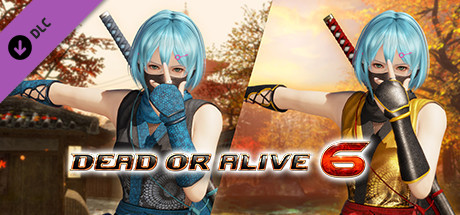 DOA6 Morphing Ninja Costume - NiCO banner image