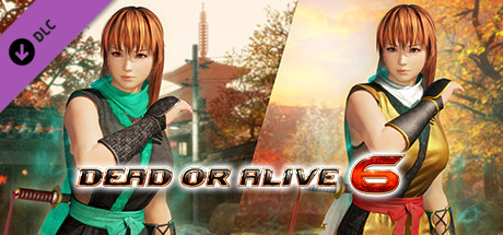 DOA6 Morphing Ninja Costume - Phase 4