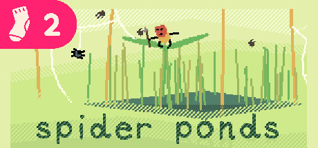 spider ponds Cover Image