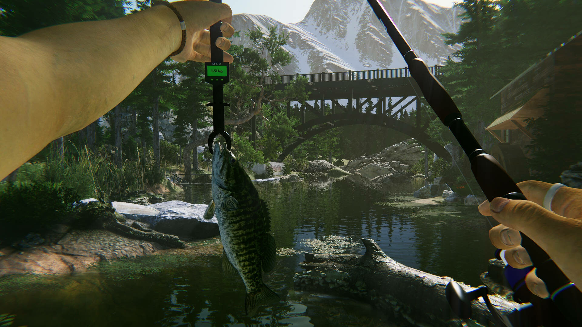 Ultimate Fishing Simulator 2 6