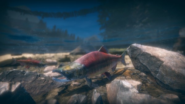 скриншот Ultimate Fishing Simulator 2 0