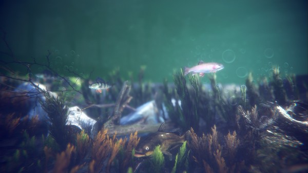 скриншот Ultimate Fishing Simulator 2 5
