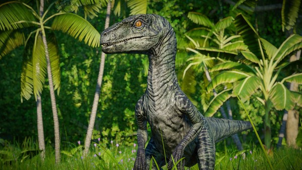 KHAiHOM.com - Jurassic World Evolution: Raptor Squad Skin Collection