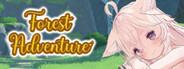 Forest Adventure