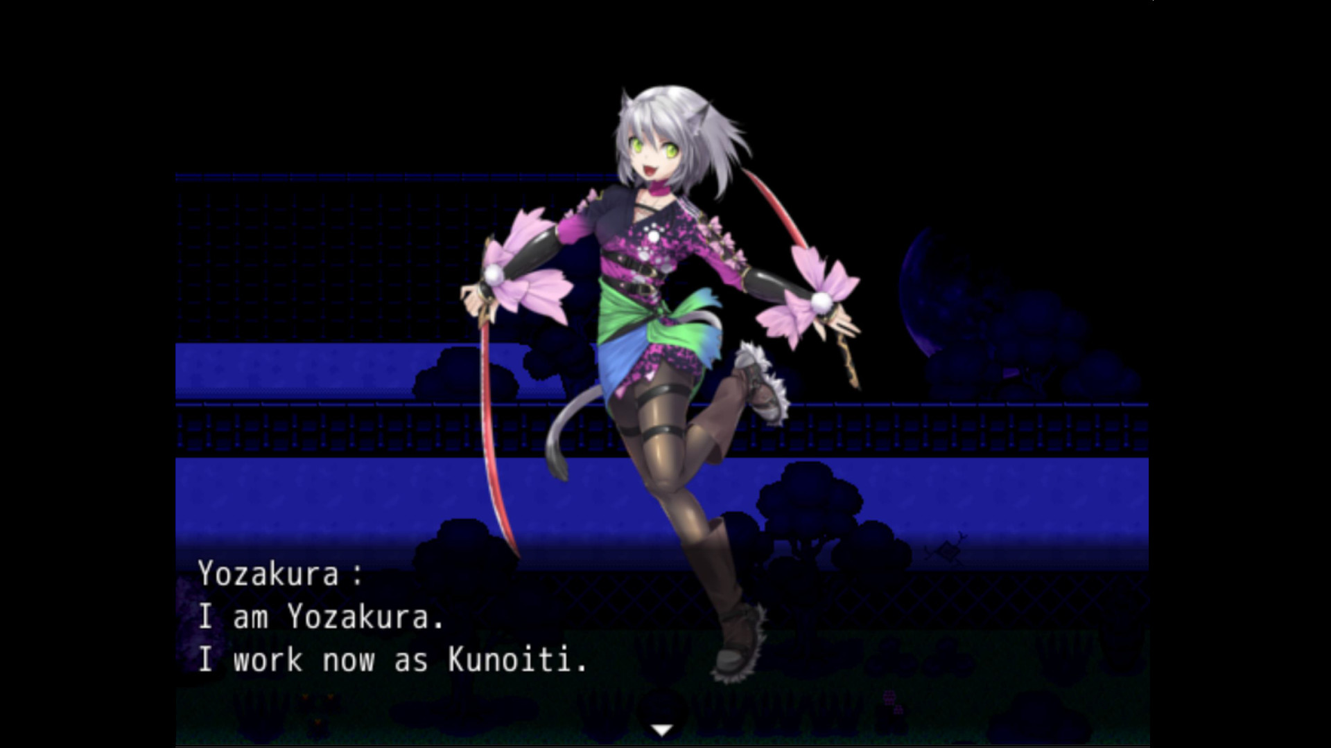 Kunoichi Ninja 2