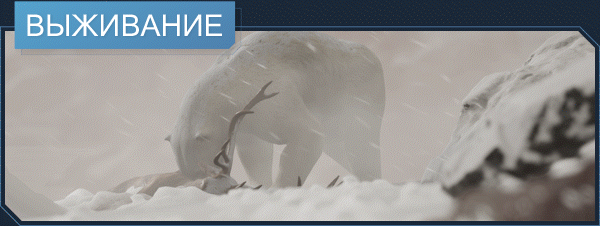 Survive_-_Russian.gif?t=1630111315
