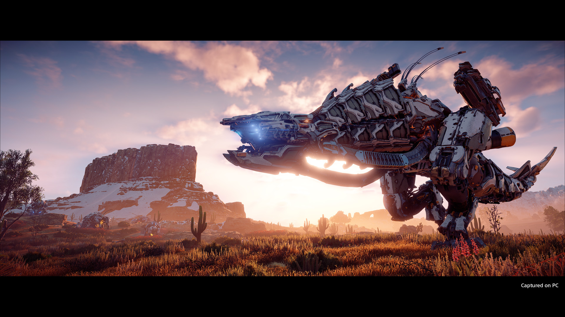 Horizon Zero Dawn is coming to PC