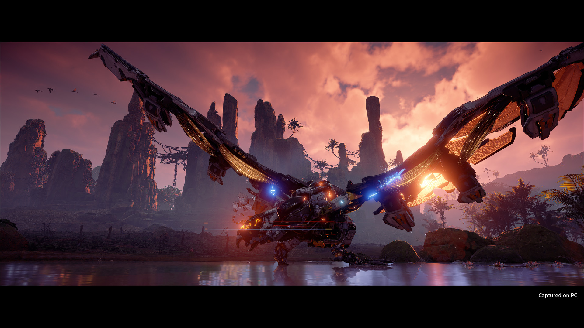 Horizon Zero Dawn, Software