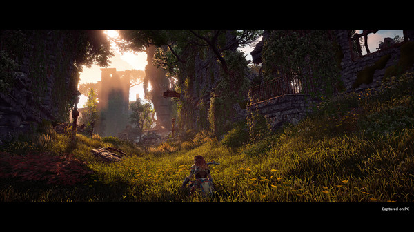 Horizon Zero Dawn скриншот