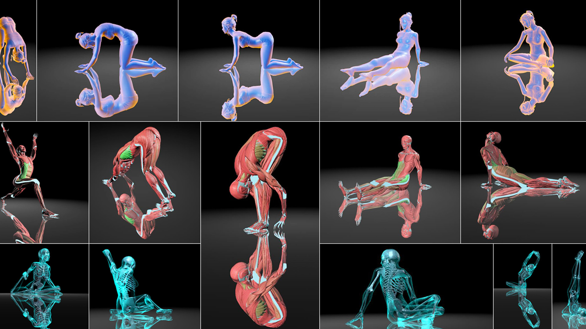 VirtuaLiron - Immersive YOGA practice #0