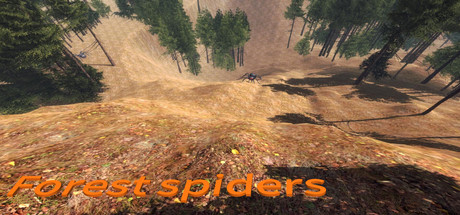 Forest spiders Cover Image