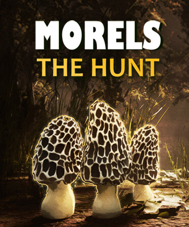 Morels: The Hunt