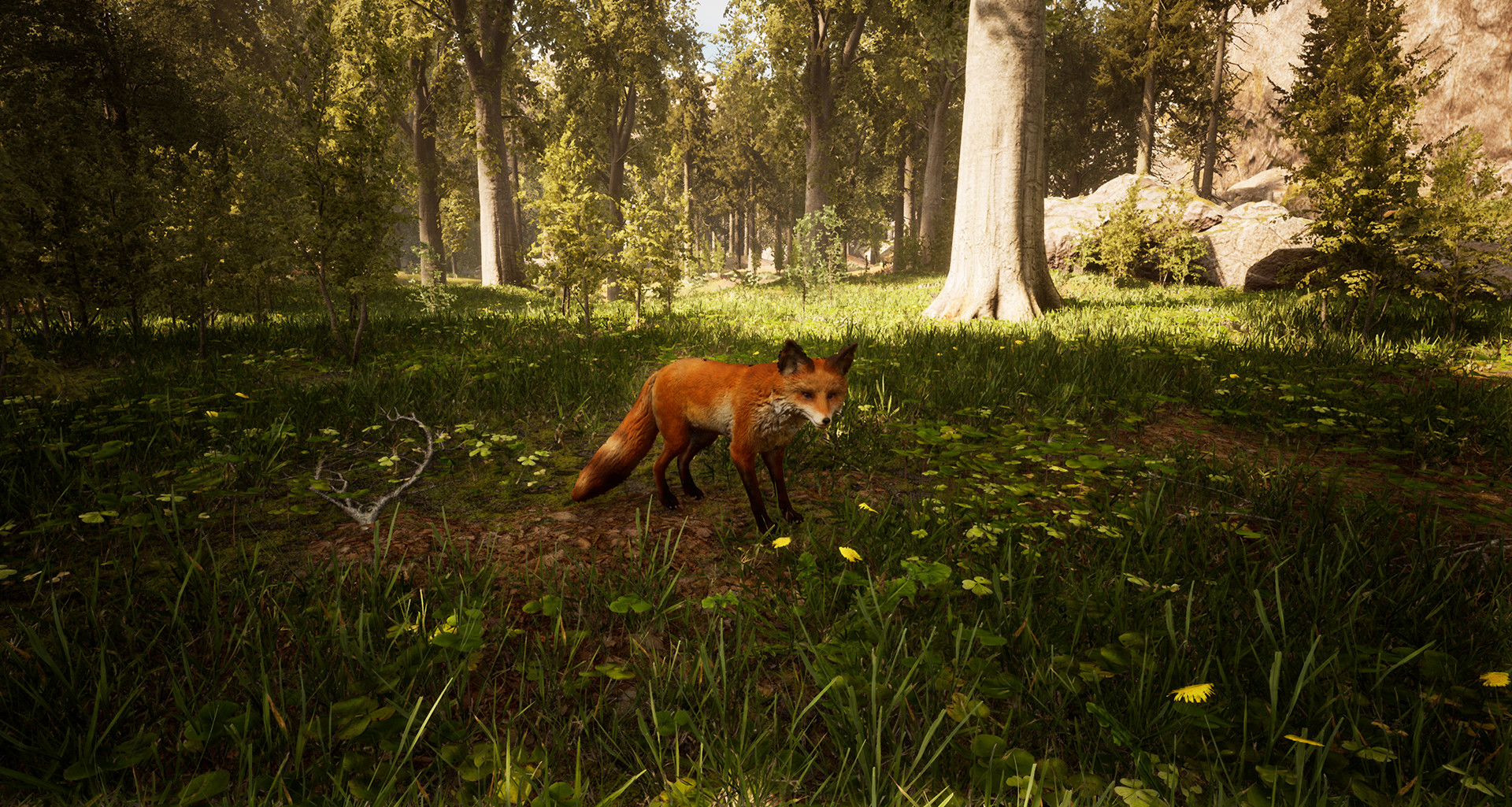 Morels: The Hunt screenshot