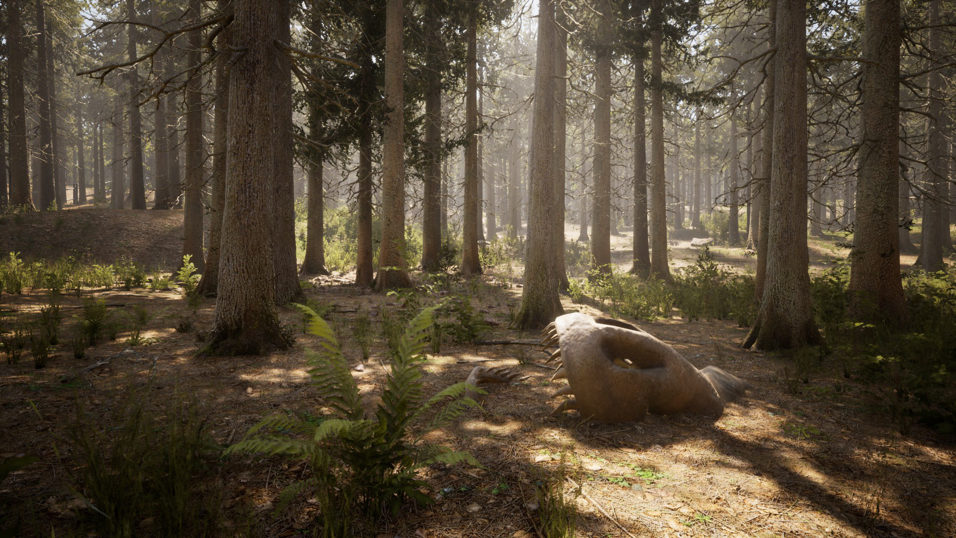 Morels: The Hunt screenshot