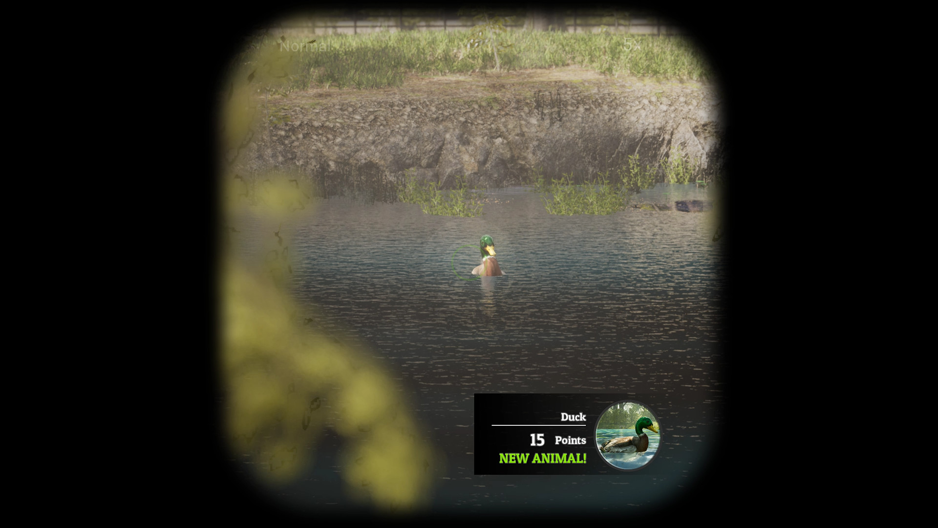 Morels The Hunt Keymailer