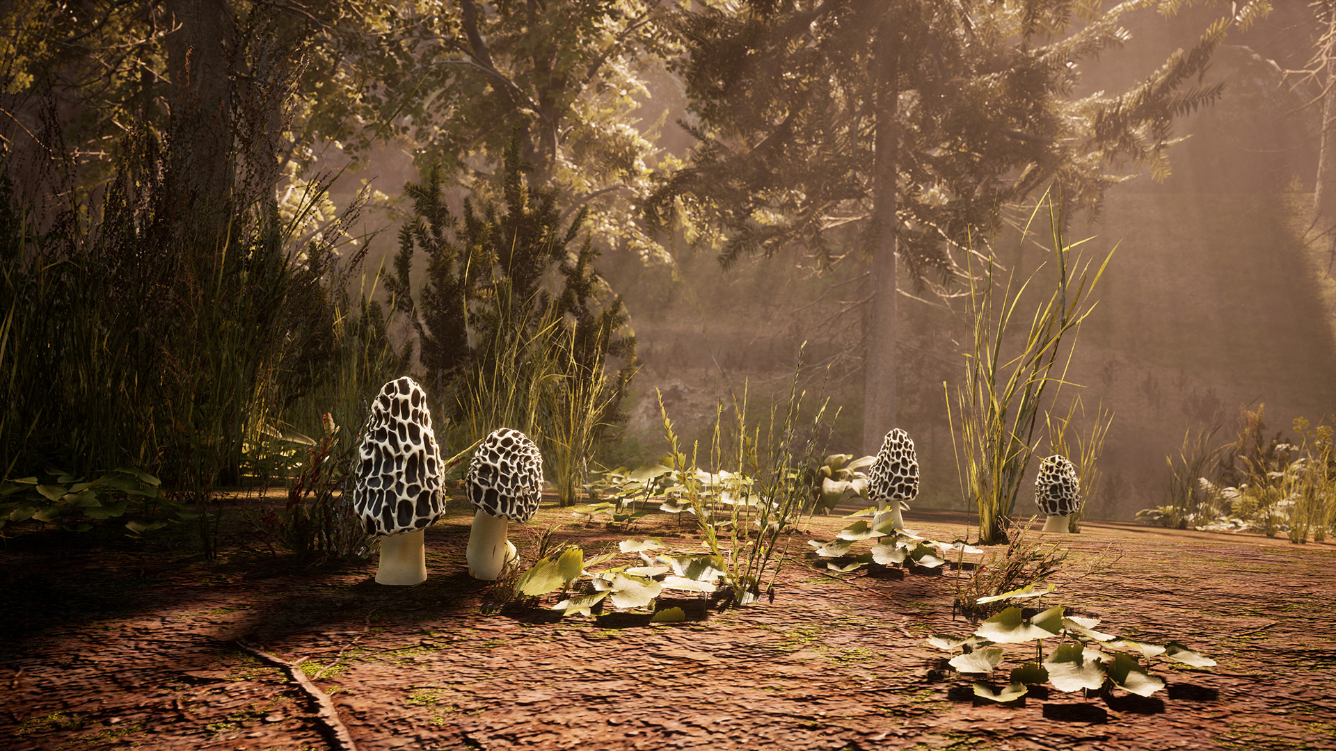 Morels: The Hunt screenshot