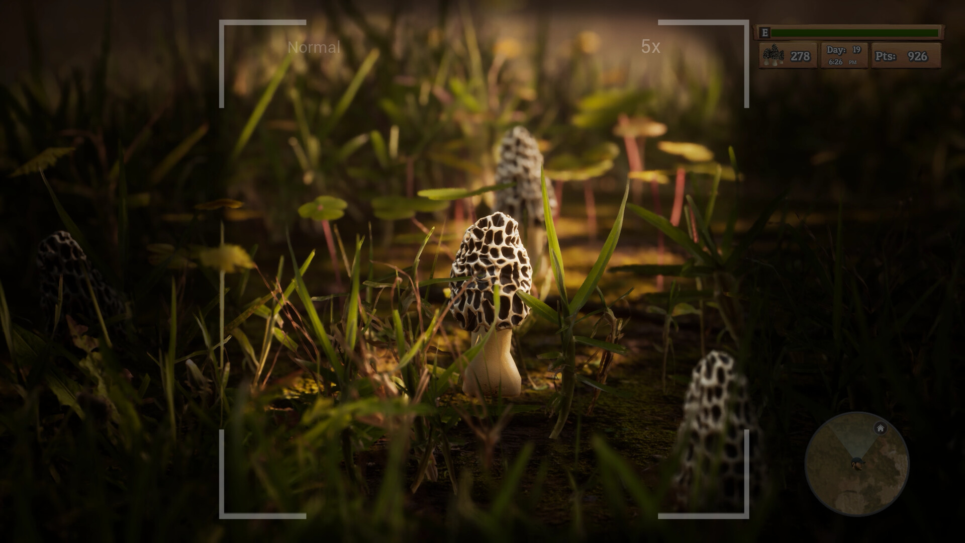 Find the best computers for Morels: The Hunt