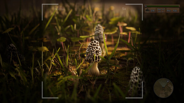 Morels: The Hunt screenshot 2