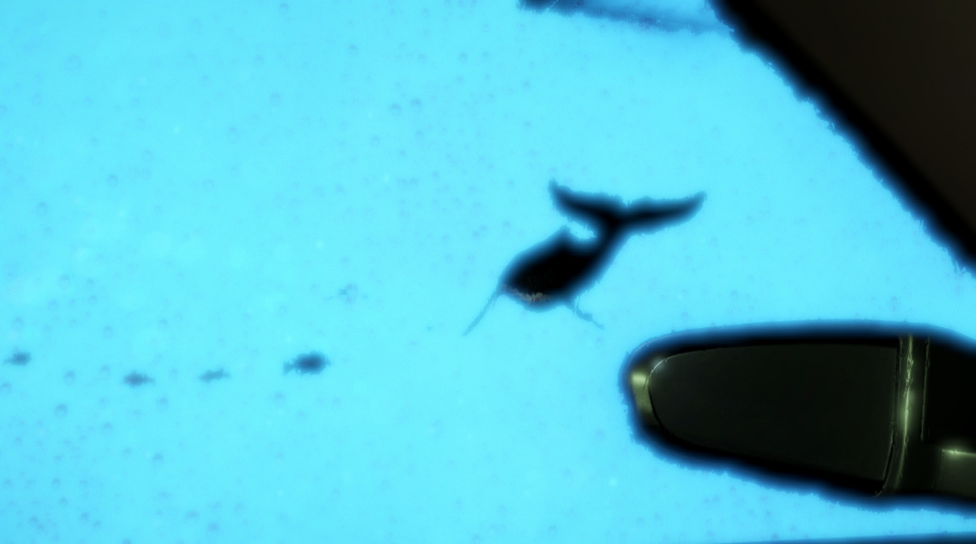 Phenomenal Car Park Adventure: Digital Deluxe Edition #5