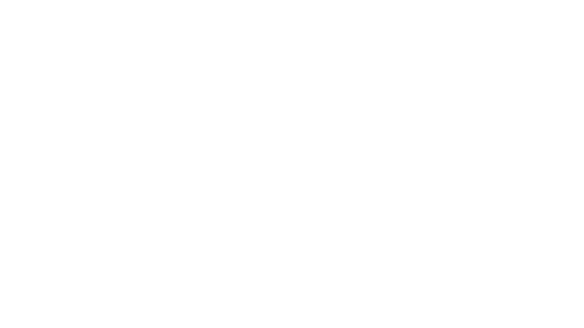 Orbital Bullet