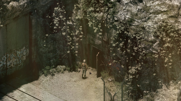 Rauniotfor windows and Linux 1