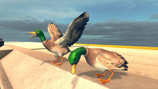 скриншот Bird Simulator 5