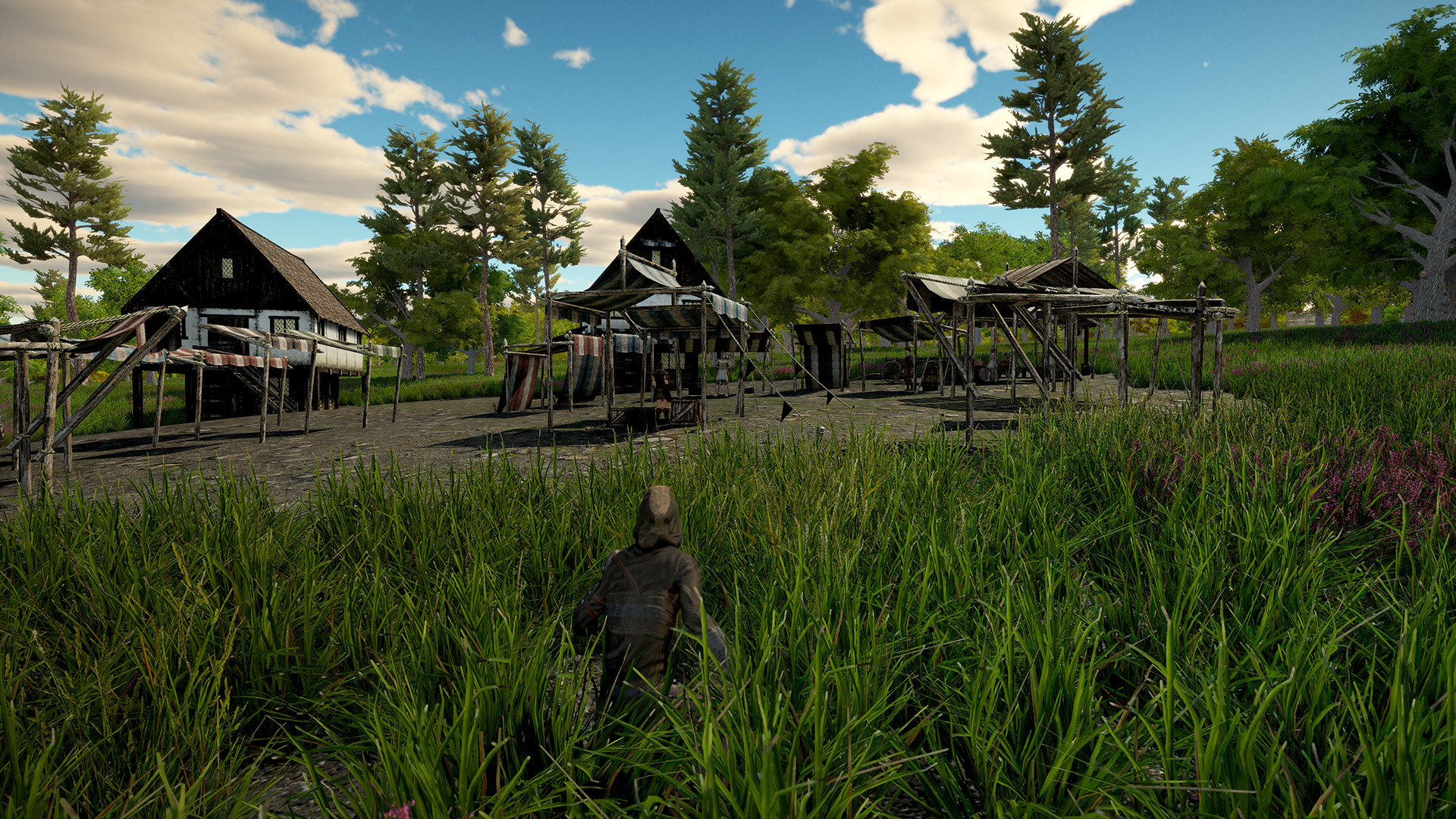 Shadowy Contracts Demo #4