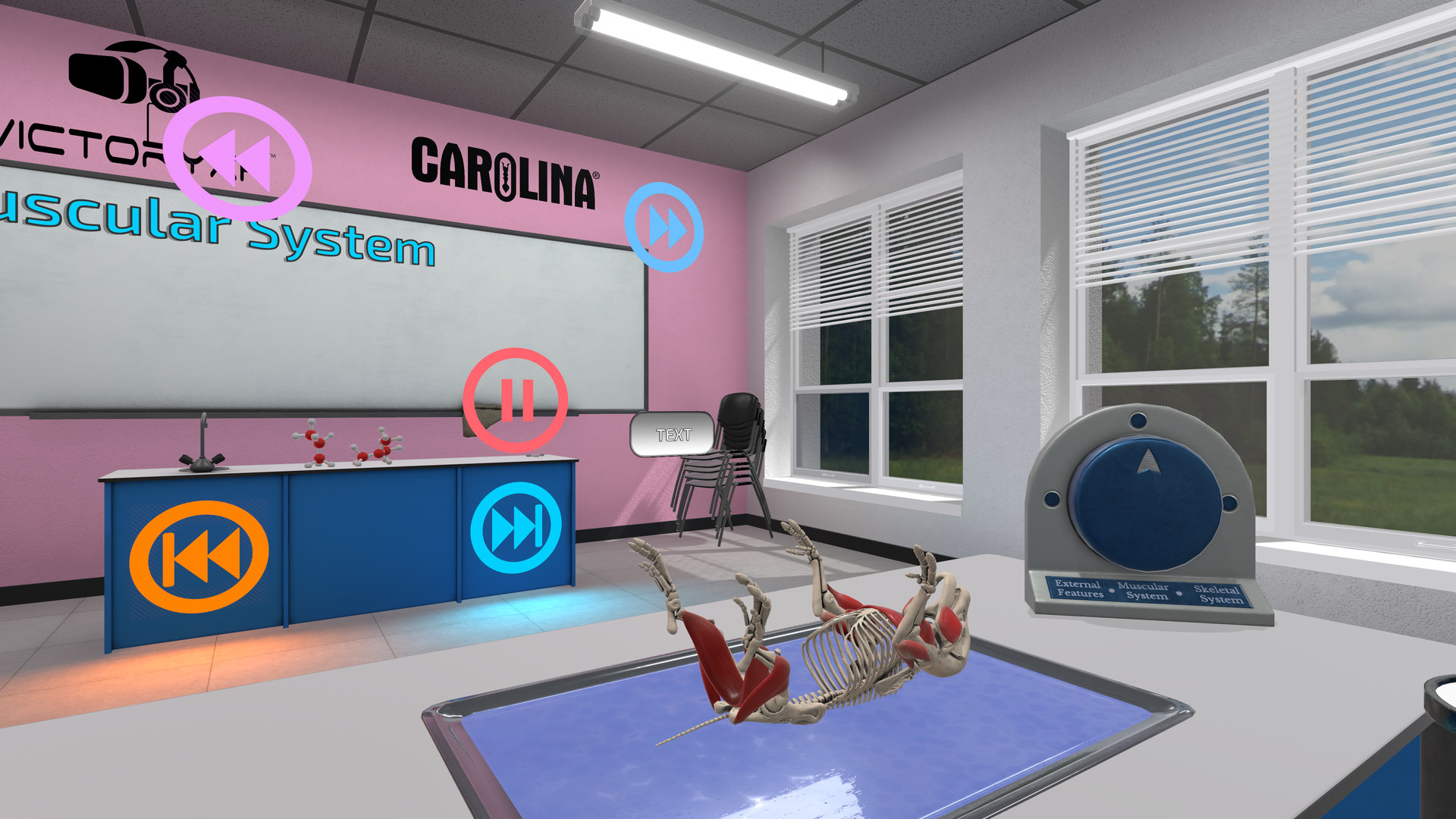 Oculus Quest 游戏《解剖模拟器 小猪》Dissection Simulator – Pig Edition ss_2123eb5198ecf4fa7946d83d08a1fa4115b1b918.1920x1080.jpg