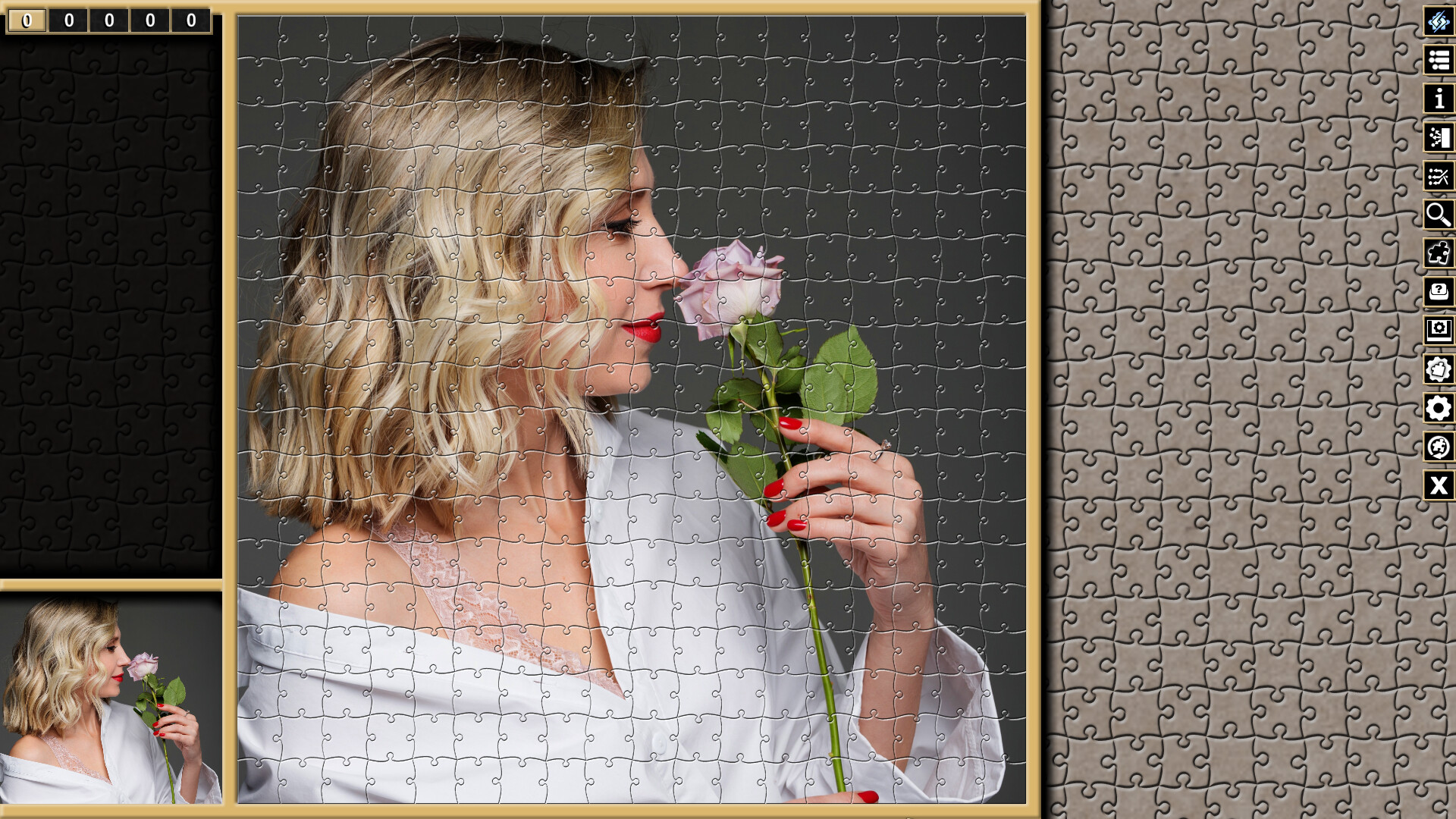 Pixel Puzzles Traditional Jigsaws Pack: Variety Pack 6 #21