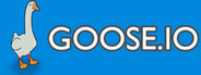 GOOSE.IO