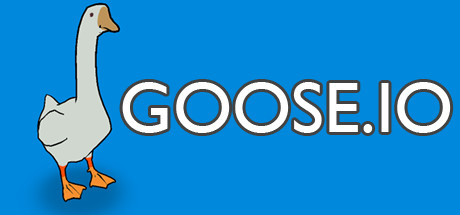 Image for GOOSE.IO