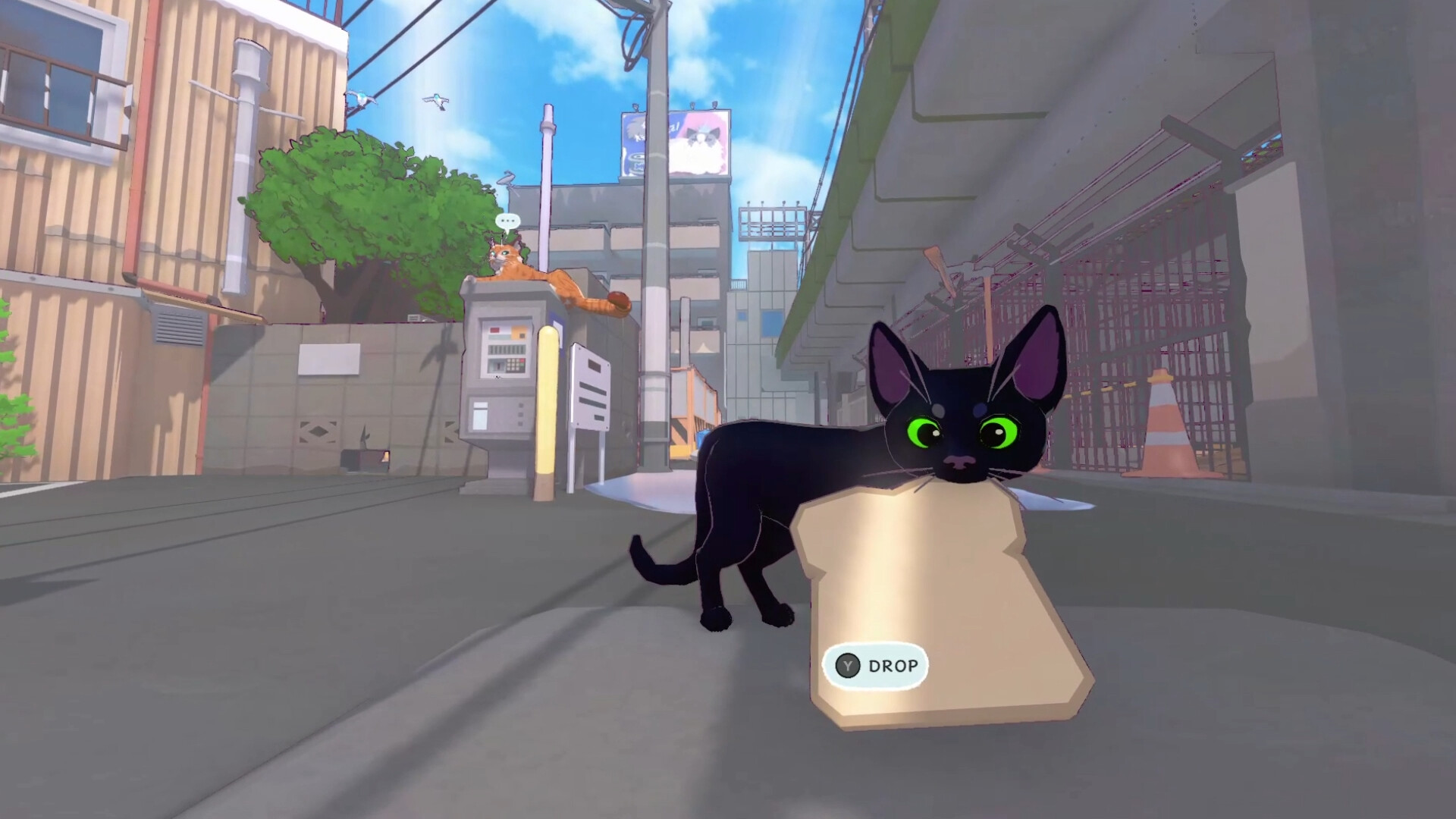 CATS DROP - Play Online for Free!