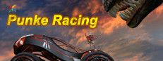 punke racing
