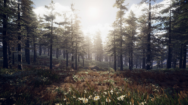 PROJECT D : Human Risenfor windows and Linux 1