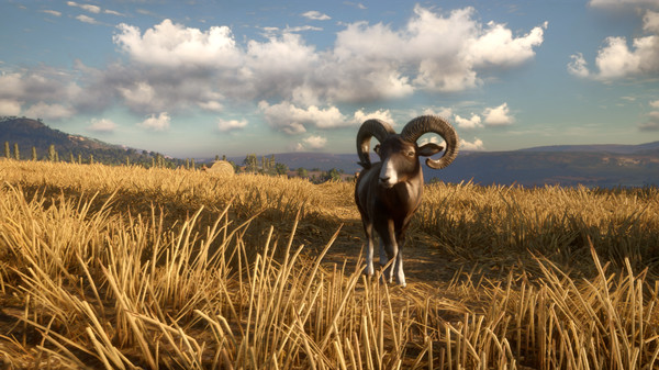 theHunter: Call of the Wild™ - Cuatro Colinas Game Reserve for steam theHunter: Call of the Wild™ - Cuatro Colinas Game Reserve for steam