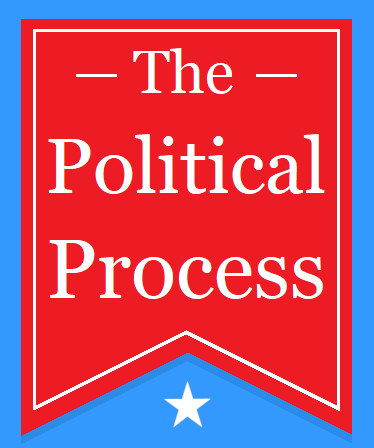 The Political Process