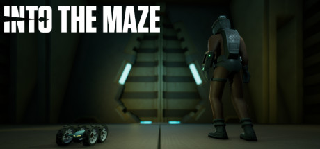 Into The Maze Cover Image